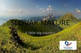 SLOVAK NATURE