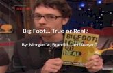 Big Foot… True or Real?