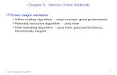 Chapter 9.  Interior Point Methods