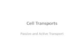 Cell Transports