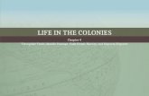 Life in the Colonies