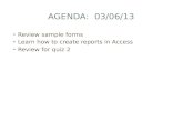Agenda:  03/06/13