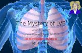 The Mystery of LVB