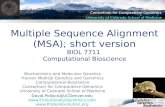 Multiple Sequence Alignment (MSA); short version BIOL 7711  Computational Bioscience
