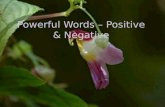 Powerful Words – Positive & Negative