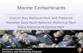 Marine Contaminants