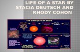 Life of a Star by  Stacia  Deutsch and  Rhody Cohon