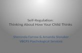 Self-Regulation:  Thinking  About How Your Child Thinks