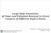 Large-Eddy Simulation  of Flows and Pollutant Removal in Street Canyons of Different Aspect Ratios