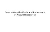 Determining the Kinds and Importance of Natural Resources