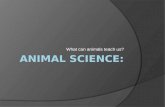 Animal Science: