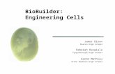 BioBuilder :  Engineering  Cells