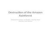 Destruction of the Amazon Rainforest