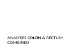 AnalysEs  colon & rectum  combined