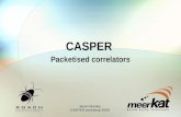 CASPER  Packetised  correlators