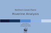 Riverine Analysis