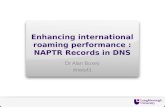Enhancing international roaming performance  :  NAPTR Records in DNS
