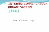 INTERNATIONAL LABOUR ORGANISATION       (ILO)