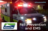 Fall Prevention and EMS