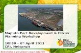 Maputo Port Development & Citrus Planning Workshop 10h30 – 6 th  April 2011 CRI, Nelspruit