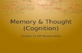 Memory  &  Thought (Cognition)