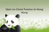 Quiz on Giant Pandas in Hong Kong
