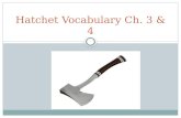 Hatchet Vocabulary Ch. 3 & 4