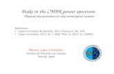 Peaks in the CMBR power spectrum:  Physical interpretation for any cosmological scenario