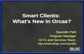 Smart Clients:  What’s New In Orcas?