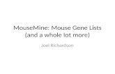 MouseMine : Mouse Gene Lists (and a whole lot more)