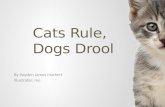 Cats Rule,  Dogs  D rool