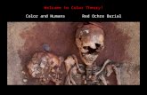 Welcome to Color Theory! Color and Humans       Red Ochre Burial