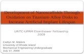 URITC-UPRM Eisenhower Fellowship 2009