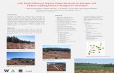 LTSP Study: Effects of Organic Matter Removal on Nitrogen and