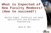 What is Expected of  New Faculty Members? (How to succeed?)