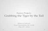 Passion Projects: Grabbing the Tiger by the Tail