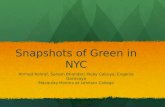 Snapshots of Green in NYC