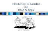 Introduction  to  Genetics and DNA and RNA