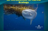 An Introduction to Marine Ecology