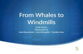 From Whales to Windmills