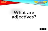What are adjectives ?