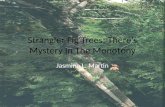 Strangler Fig Trees: There’s Mystery In The Monotony