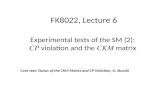 Experimental tests  of the SM (2): CP v iolation  and the  CKM  matrix