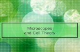 Microscopes and Cell Theory