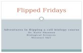 Flipped Fridays