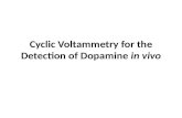Cyclic Voltammetry  for the Detection of Dopamine  in vivo
