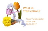 What is Translation?
