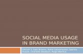Social Media Usage in Brand Marketing