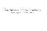 Heat Stress (HS) in Blueberry Final report  1 1 April, 2013
