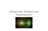 Cell growth, Division and Reproduction
